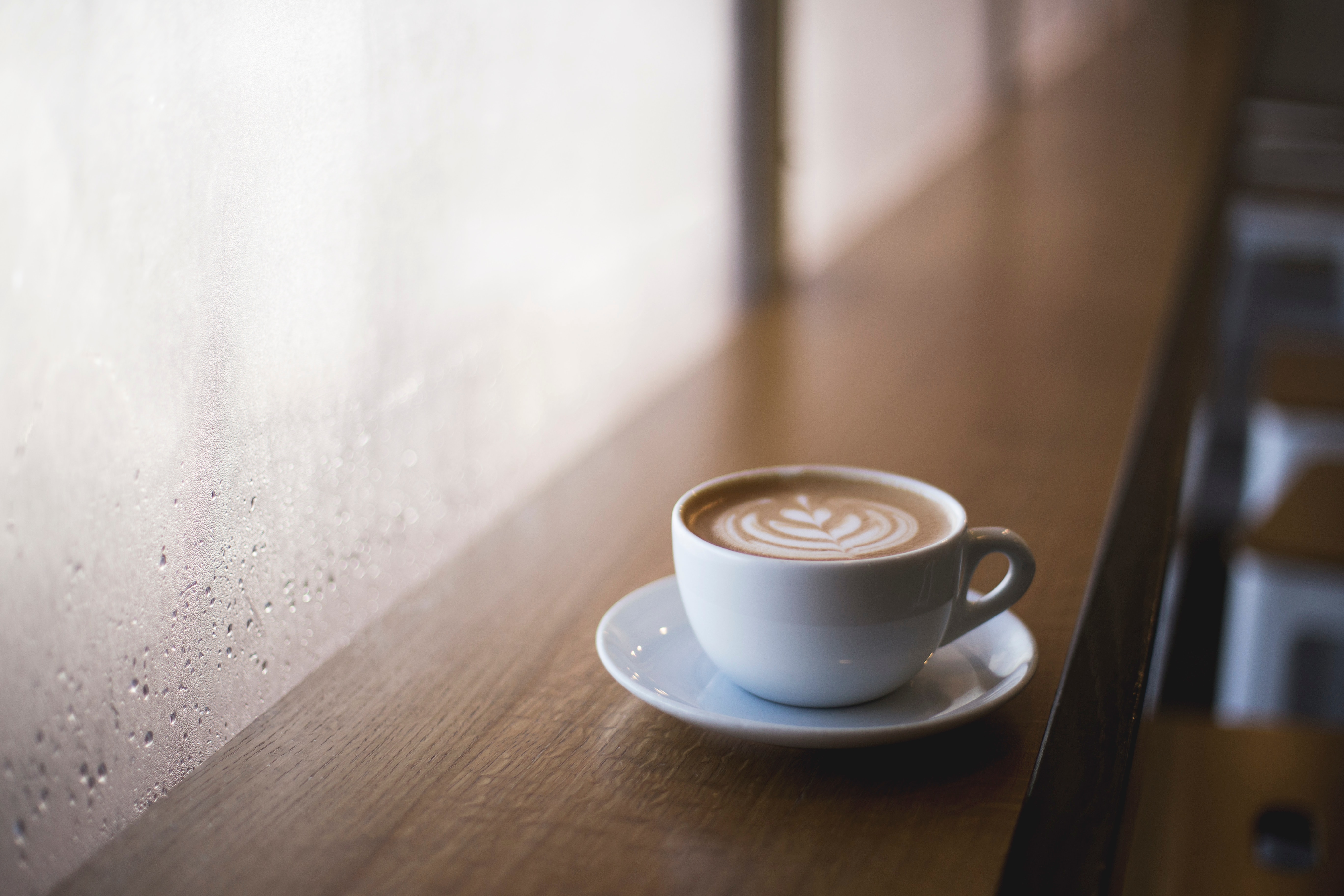 Nice Coffee Shops In Auckland