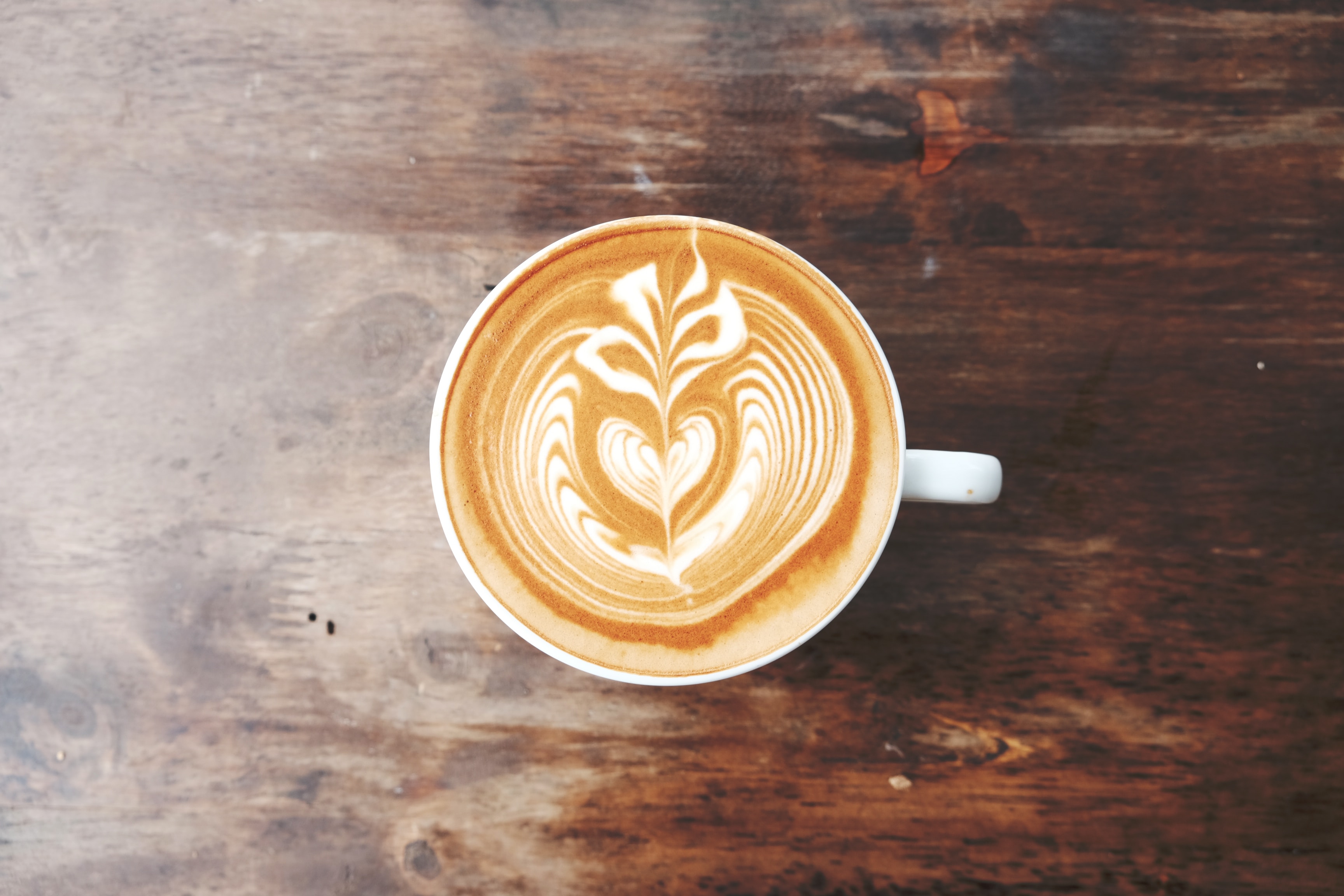 Top Coffee Shops to Visit In Auckland