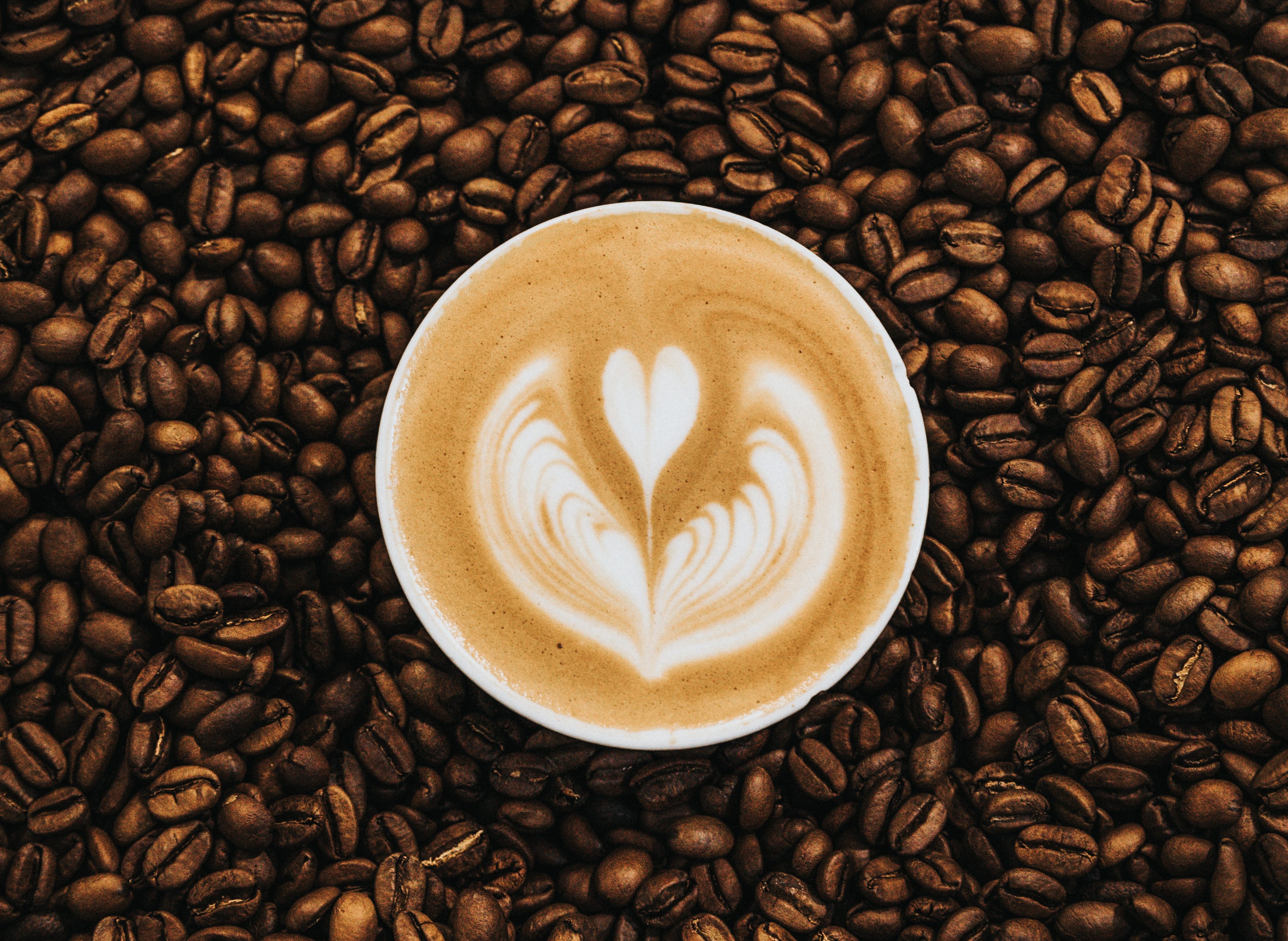 Top Coffee Brands In Sydney