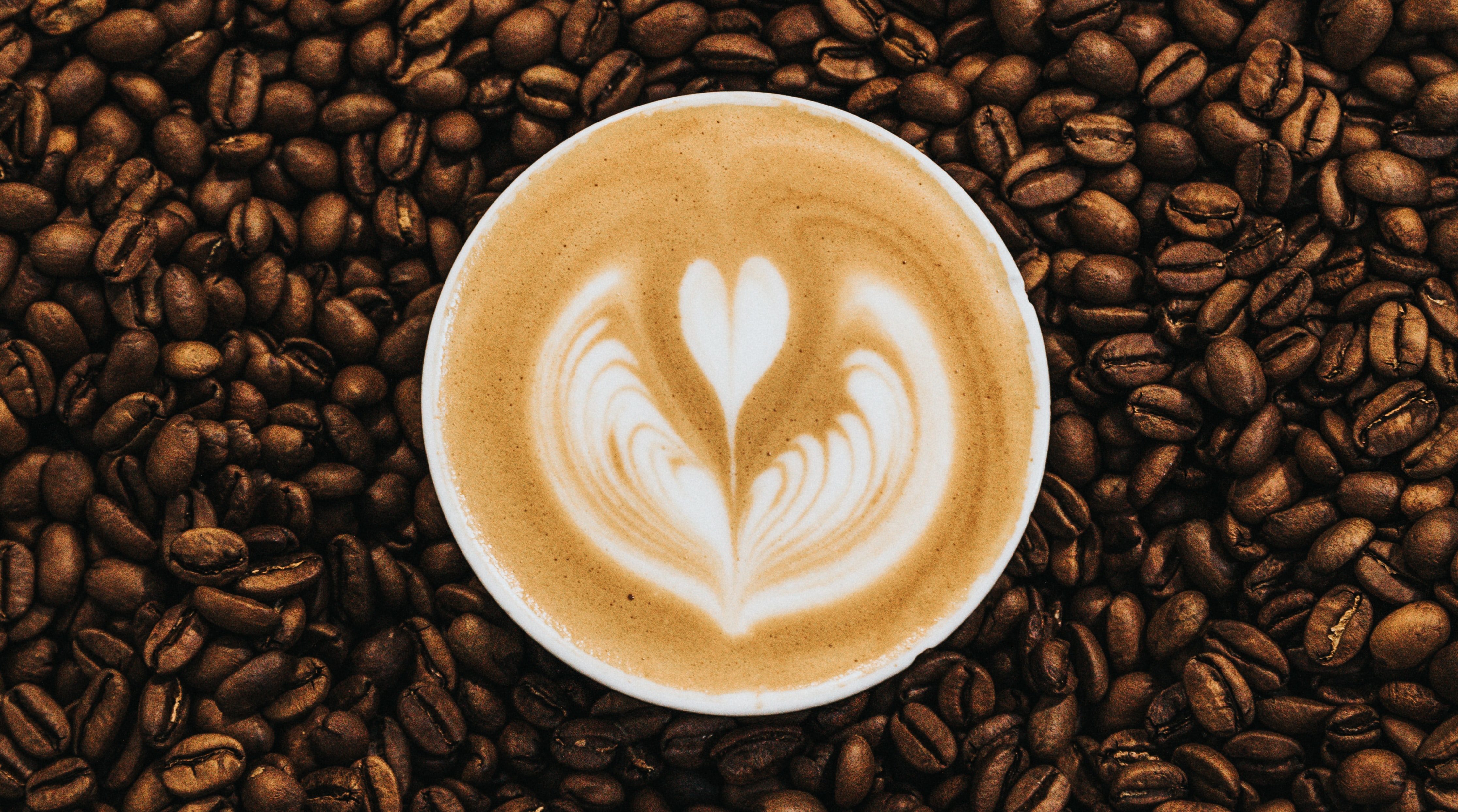 Beat Coffee Brands In Berlin
