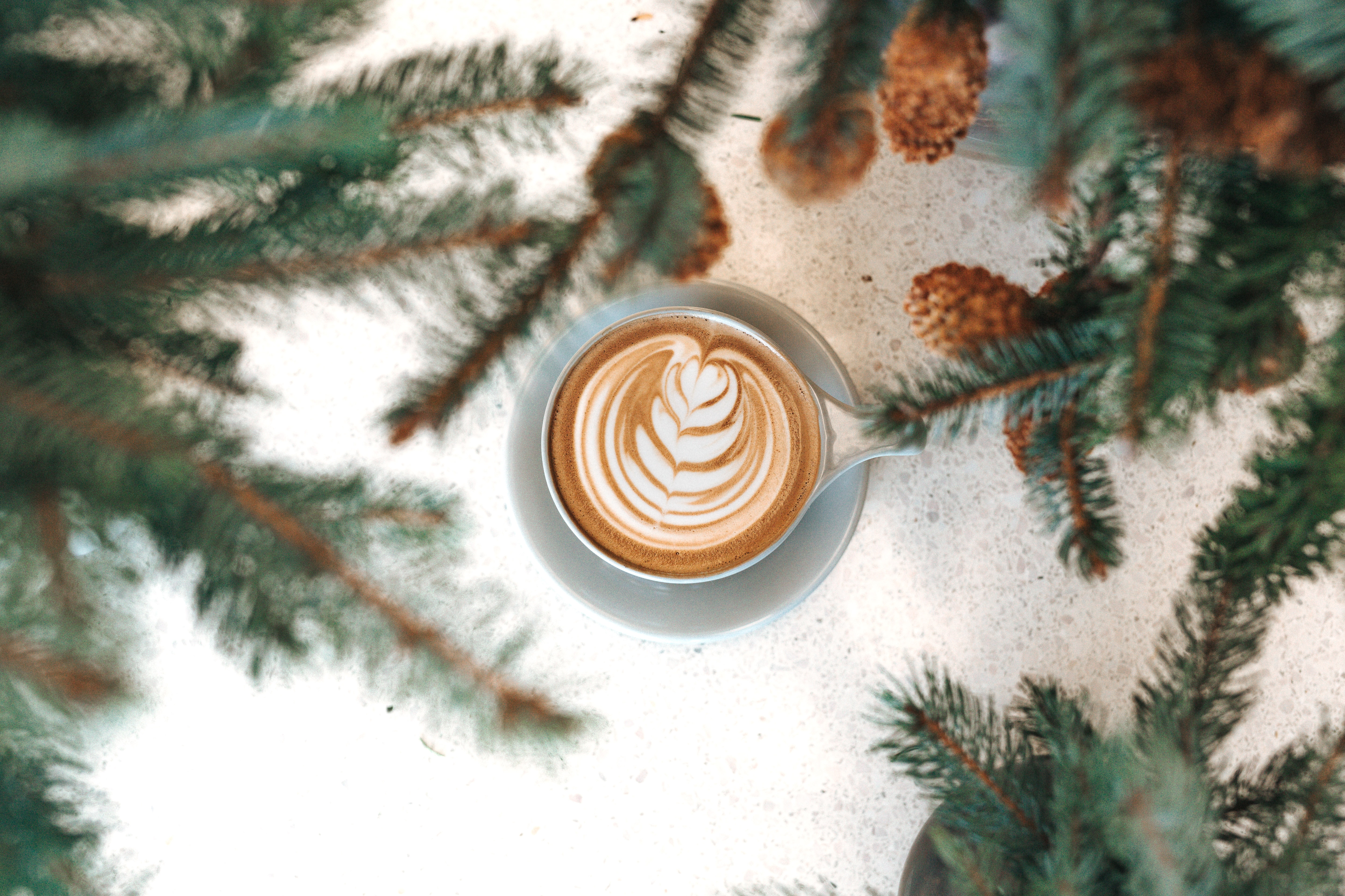Best Coffee To Buy In Christchurch