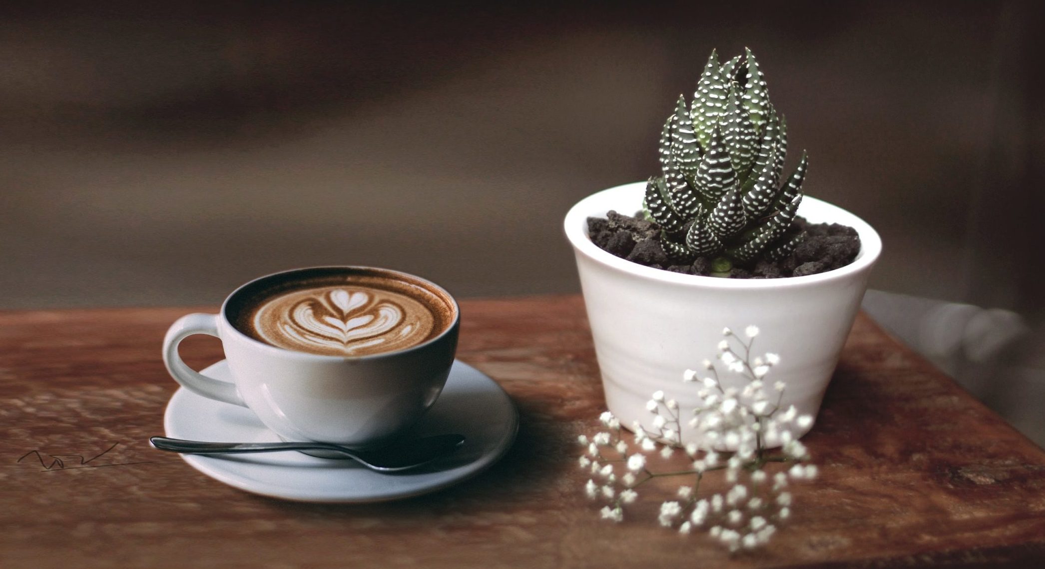 Best Coffee To Buy In Copenhagen