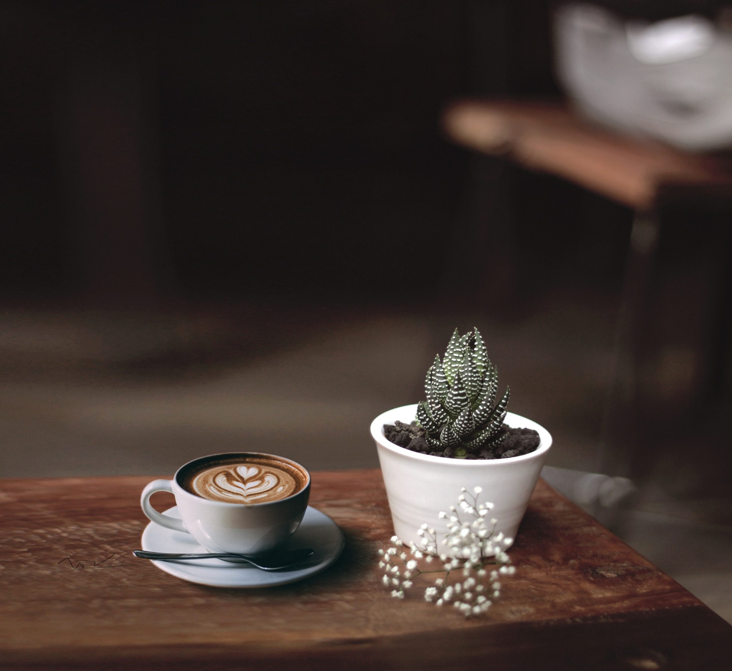 Where to Buy Coffee In Copenhagen