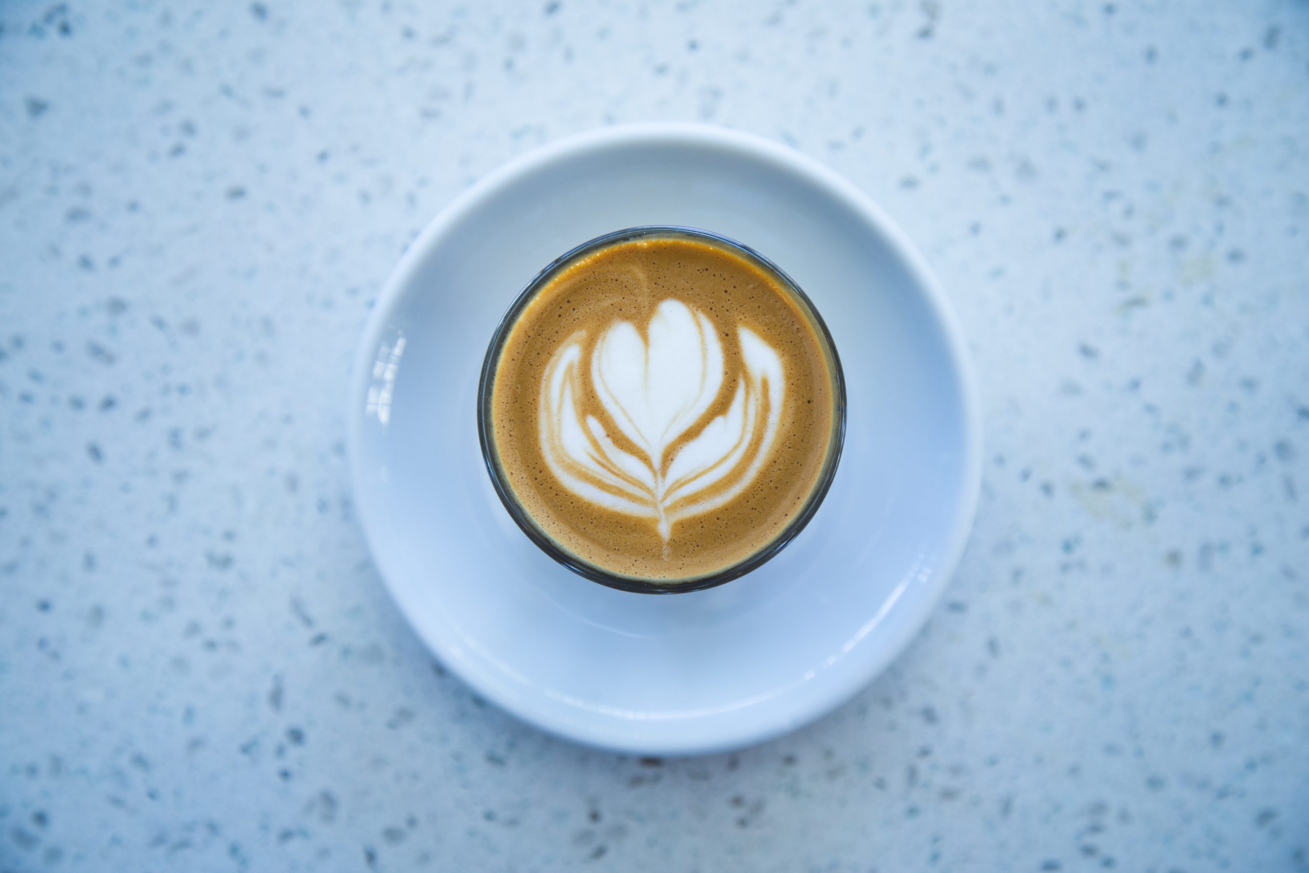 Best Coffee Companies in Poland