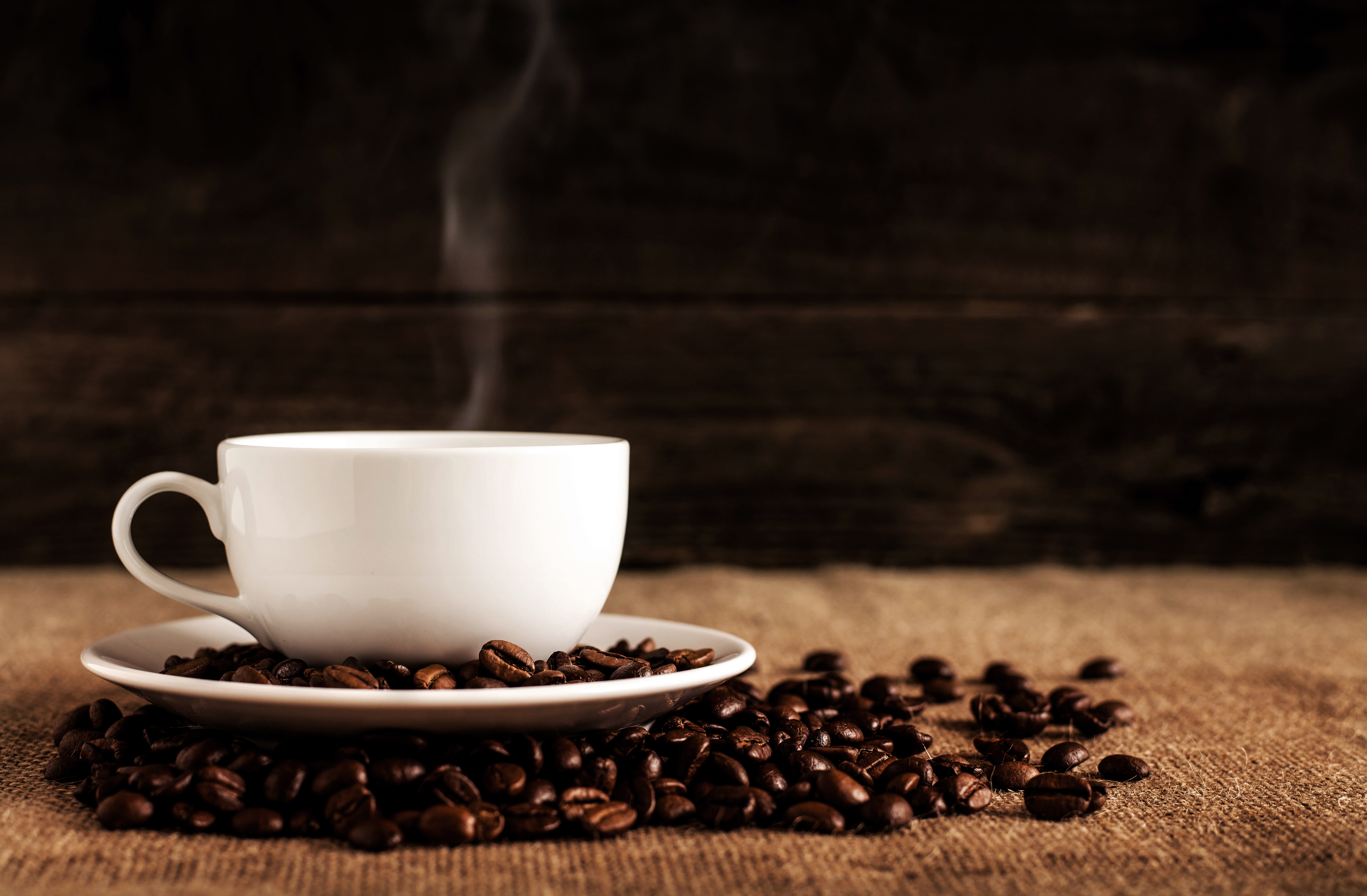 Best Tasting Ground Coffee