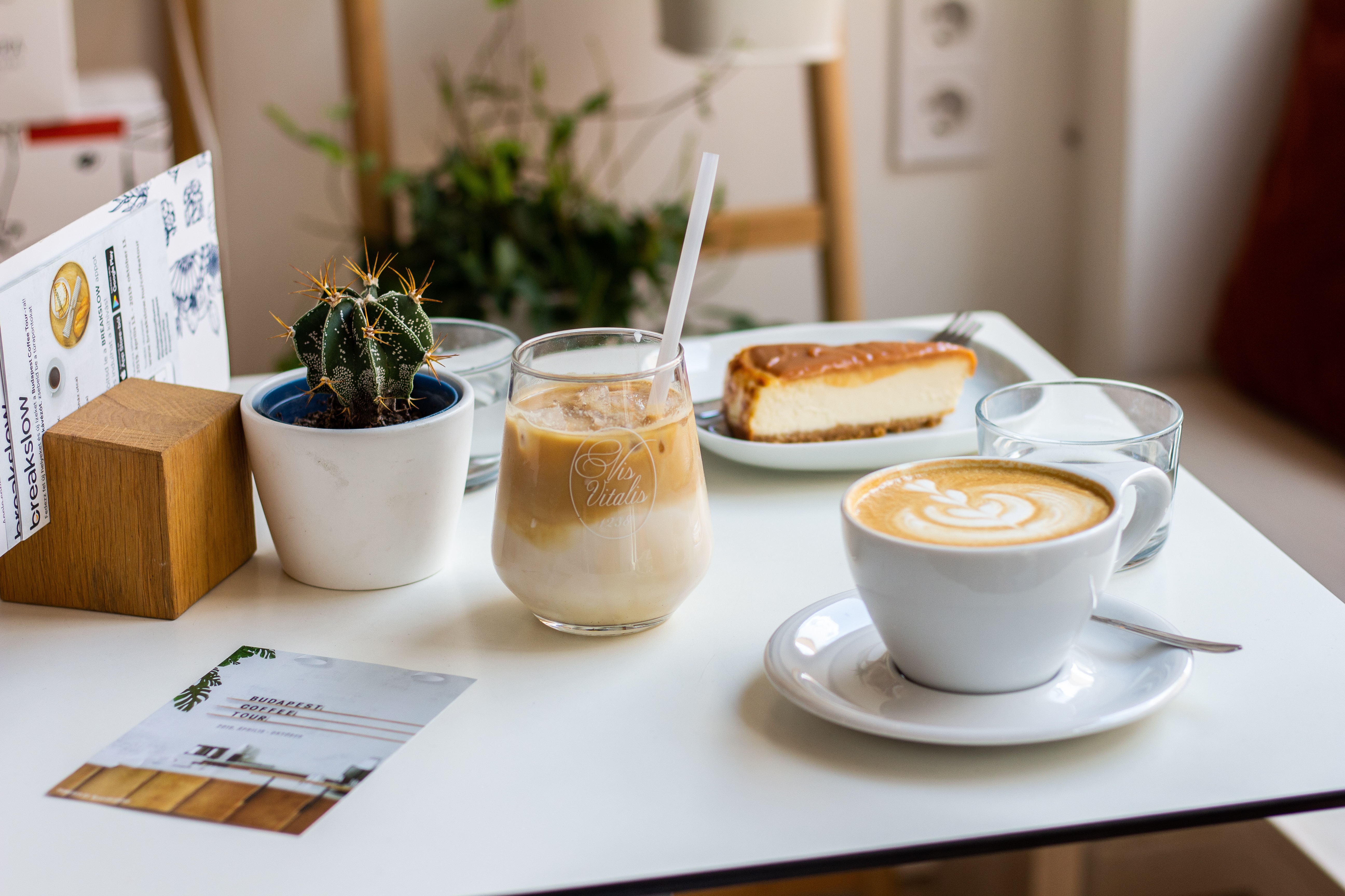 Top 10 Coffee Brands In America