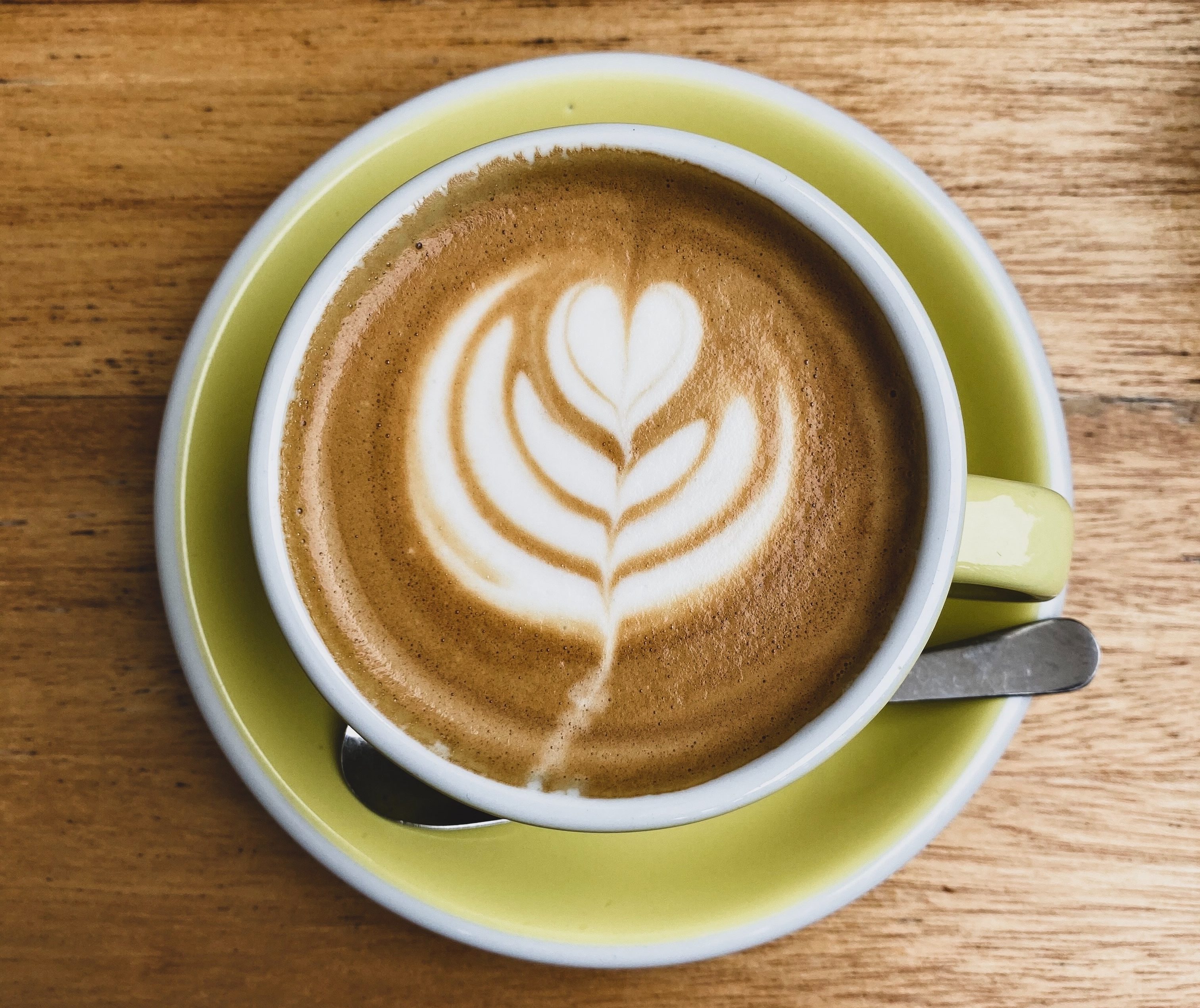 Top Rated Coffee Brands