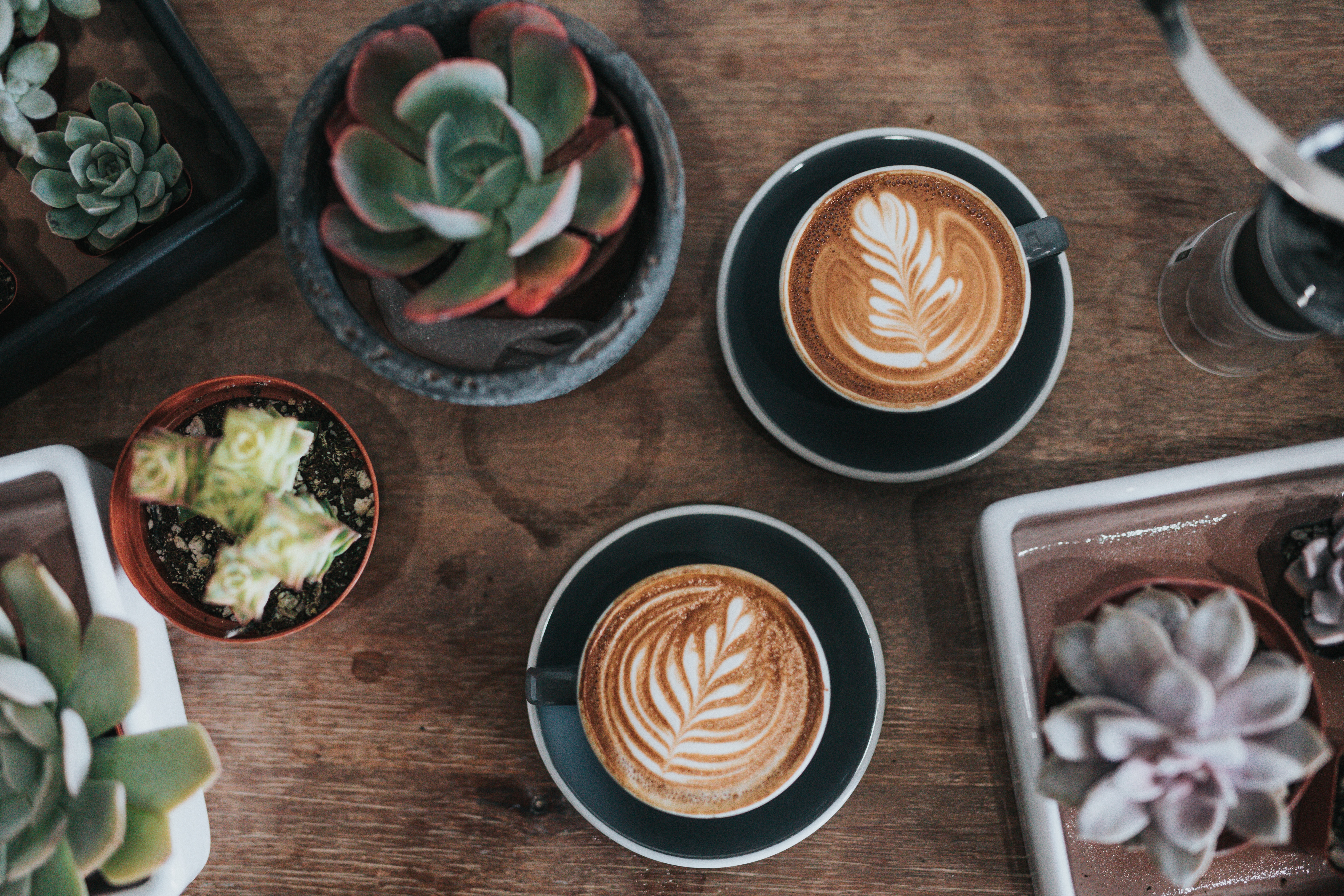 Best types of coffees to try